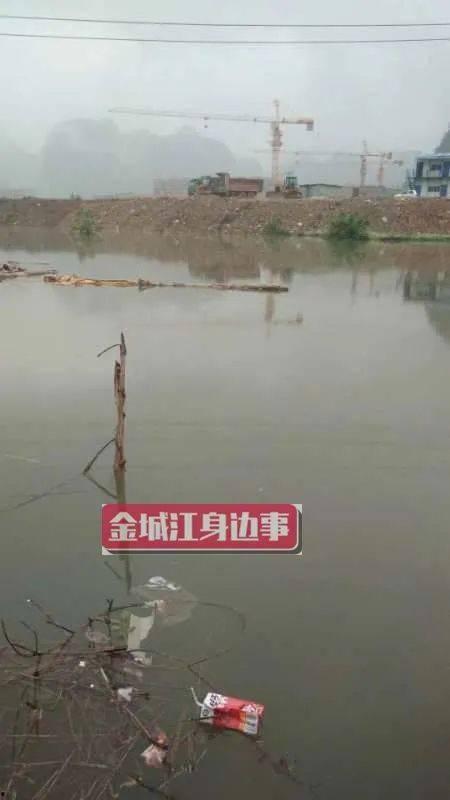 金城江网友爆料视频