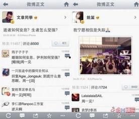 最新爆料早知道,最新爆料早知道，提前洞察行业动态与热点事件  第2张