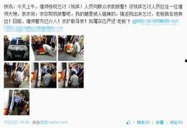 河南网友爆料视频最新版,揭秘惊人真相！  第3张