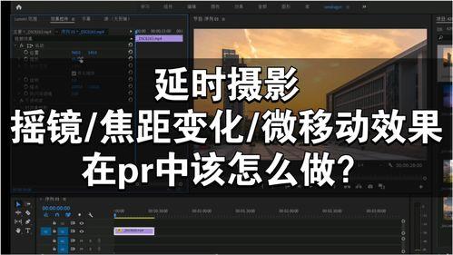 在线原创视频在线观看,在线观看新体验  第2张