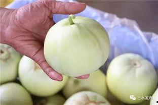 网红田心三水吃瓜,幕后真相与娱乐众生相  第3张